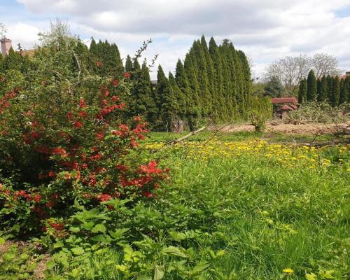 działka bud. położona w doskonałej lok. Lublina.