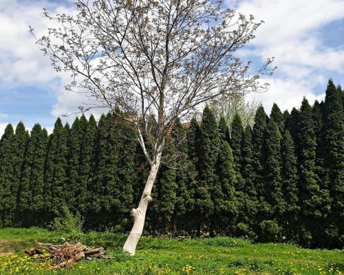 działka bud. położona w doskonałej lok. Lublina.