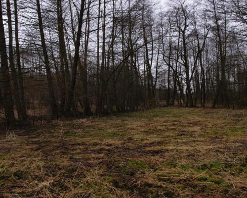 Siedlisko w Wąwolnicy.