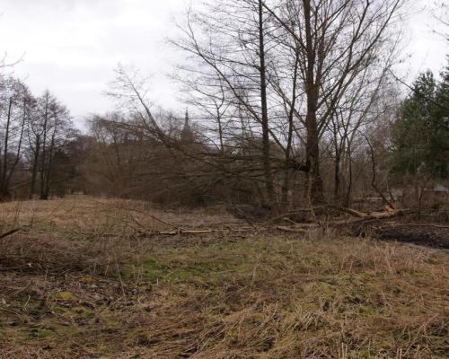 Siedlisko w Wąwolnicy.