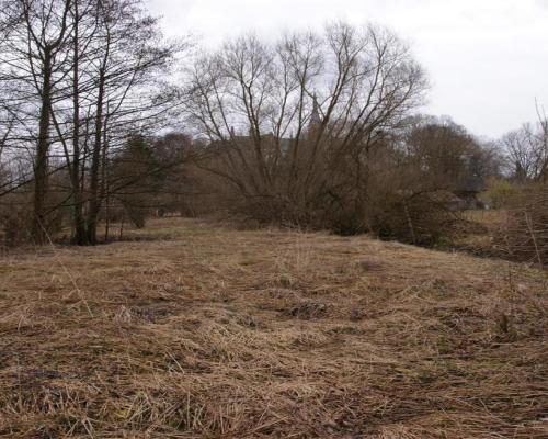 Siedlisko w Wąwolnicy.