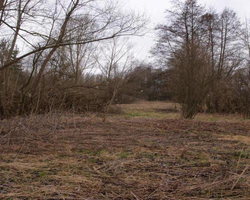 Siedlisko w Wąwolnicy.