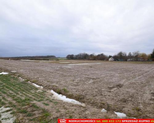 Wierciszów, działki budowlane MN, media 100%.