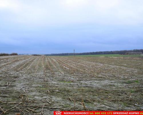 Wierciszów, działki budowlane MN, media 100%.