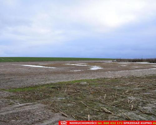 Wierciszów, działki budowlane MN, media 100%.