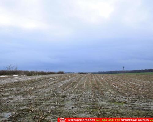 Wierciszów, działki budowlane MN, media 100%.