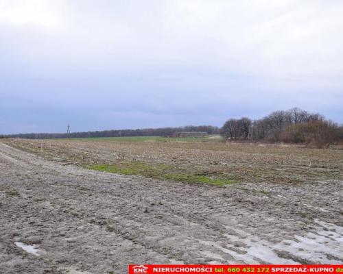 Wierciszów, działki budowlane MN, media 100%.