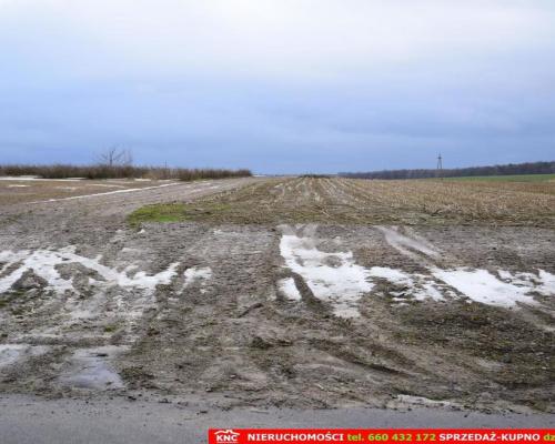 Wierciszów, działki budowlane MN, media 100%.