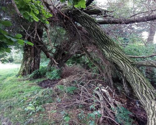 Łąka pod Lublinem- miejsce na odpoczynek nad rzeką!