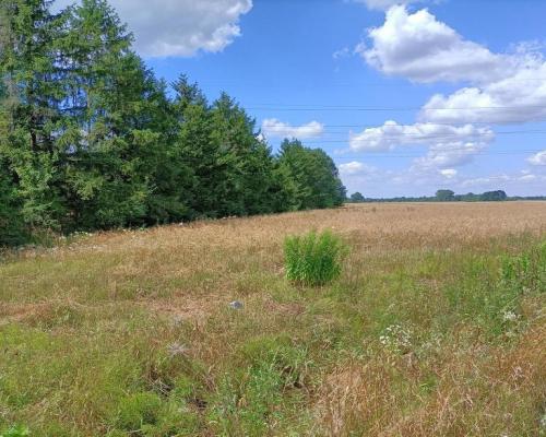 Działka 4 ha o różnym przeznaczeniu w Zwoleniu.