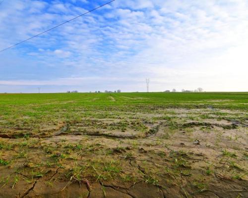 Działka rolno-budowlana - doskonała inwestycja!