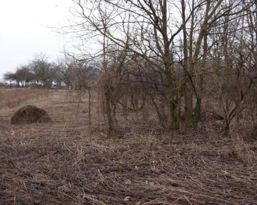 Rolno-budowlana działka w Kazimierzu Dolnym.