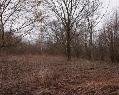 Rolno-budowlana działka w Kazimierzu Dolnym.