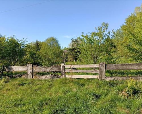 Siedlisko w cichej okolicy 100 km od Warszawy.