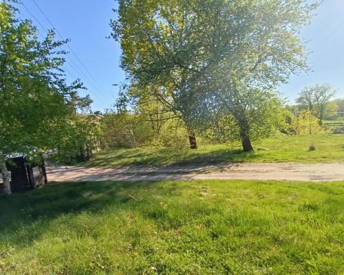 Siedlisko w cichej okolicy 100 km od Warszawy.