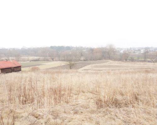 Działka Pliszczyn,media, działka budowl usług 65ar