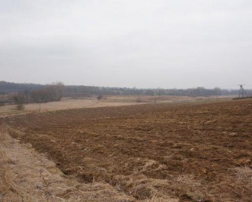 Działka Pliszczyn,media, działka budowl usług 65ar