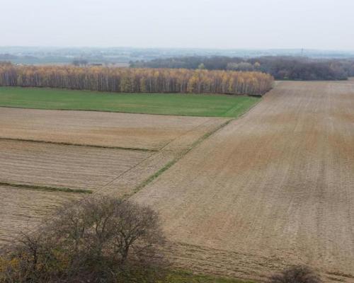 Smugi, 32 ar, blisko Lublina