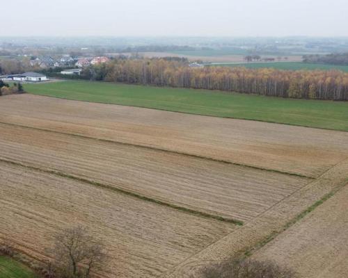 Smugi, 32 ar, blisko Lublina