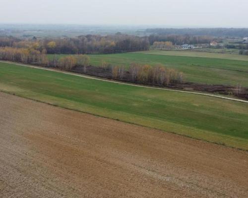 Smugi, 32 ar, blisko Lublina