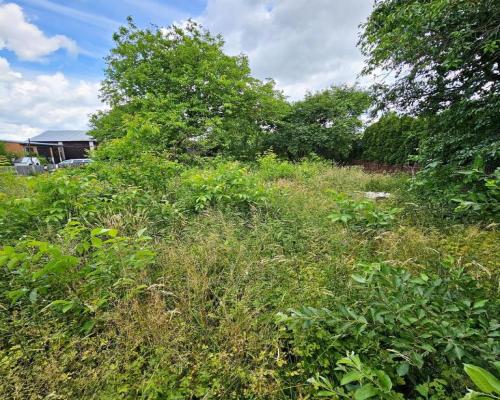 Atrakcyjna działka z domem - Zalesie gm. Niemce