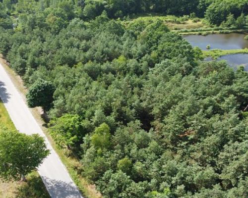 Działki budowlane w malowniczej części Przyłęka.