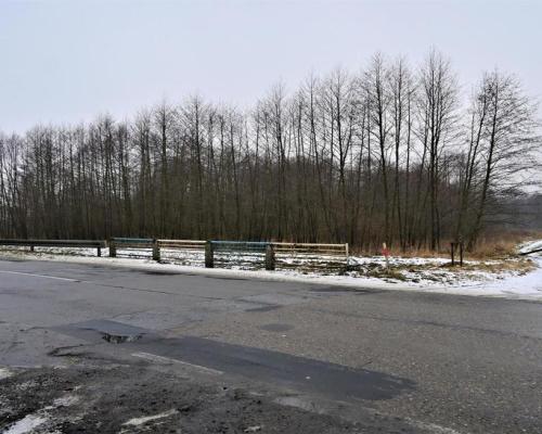 Ludwin - duża działka usługowa 75a