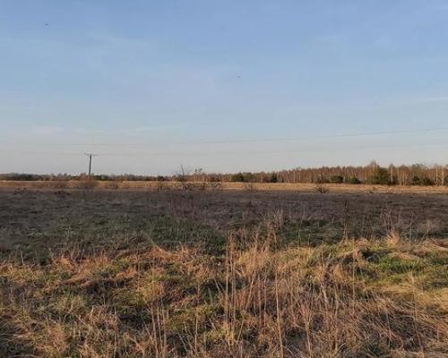 Siedlisko - spokojna wieś w przepięknej okolicy!