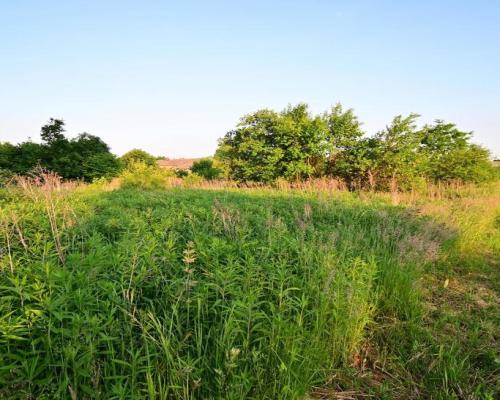 54a dz. budowlanej pod samym Lublinem.