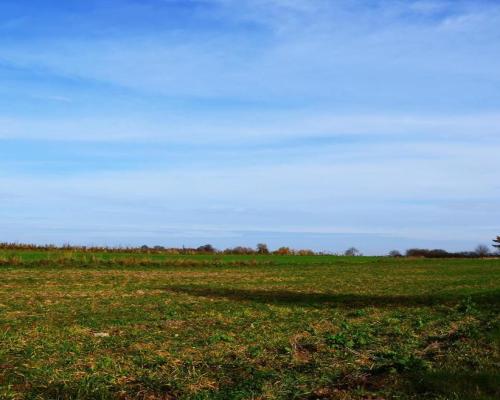 Działka w Snopkowie blisko MPK