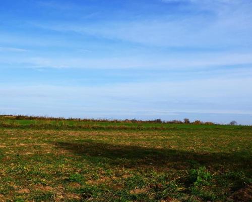 Działka w Snopkowie blisko MPK