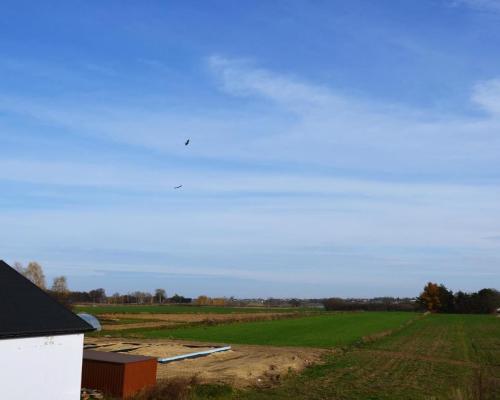 Działka w Snopkowie blisko MPK