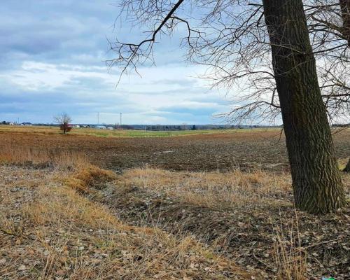 Działka inwestycyjna w Zemborzycach Kościelnych