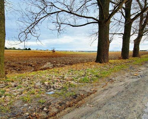 Działka inwestycyjna w Zemborzycach Kościelnych