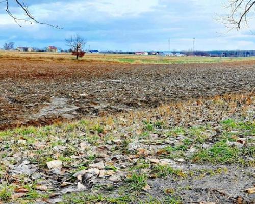 Działka inwestycyjna w Zemborzycach Kościelnych