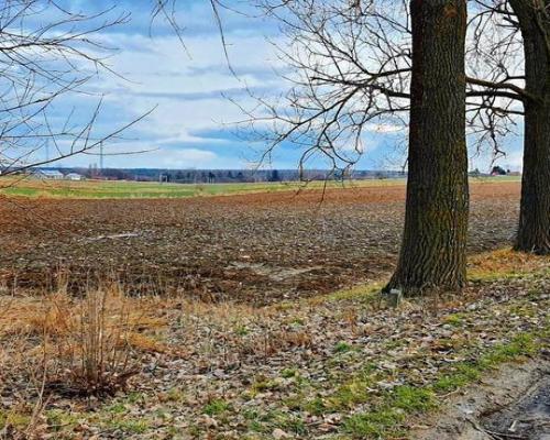 Działka inwestycyjna w Zemborzycach Kościelnych