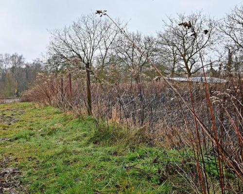 Piękna działka 65a pod Kazimierzem Dolnym
