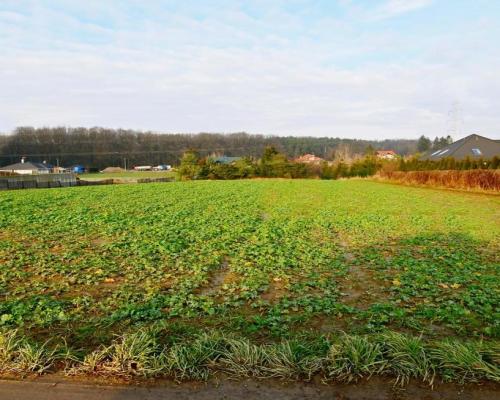 18ar działki III linia zabudowy - Lublin Wrotków