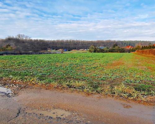 18ar działki III linia zabudowy - Lublin Wrotków