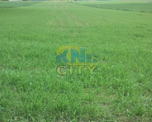 Sprzedam działkę pod bud. jednorodzinne!