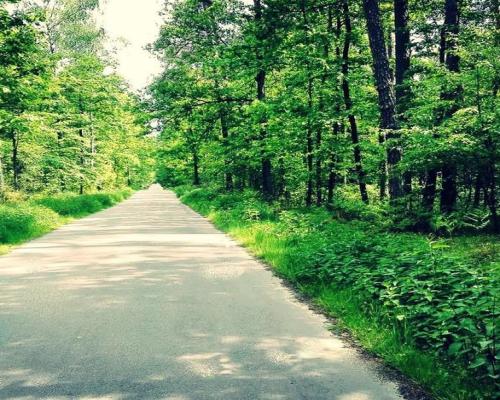 Działka z widokiem na Park Krajobrazowy- wszystkie media!