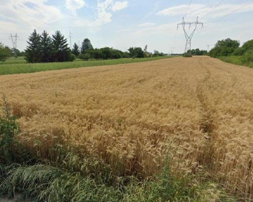 Grunt rolny w Lublinie o powierzchni 54 ar