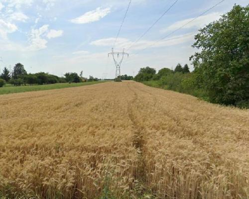 Grunt rolny w Lublinie o powierzchni 54 ar