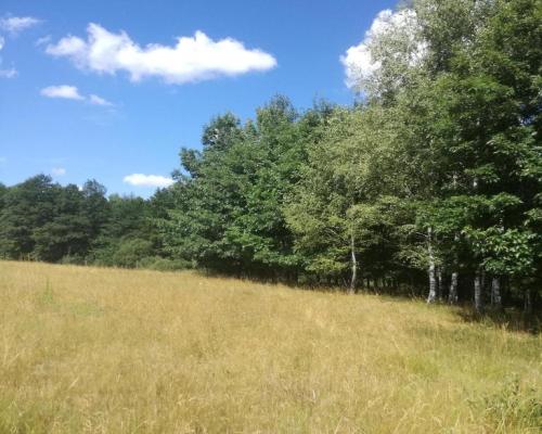 Kolonia Garbatówka, działka rolna, 3,18 ha!!