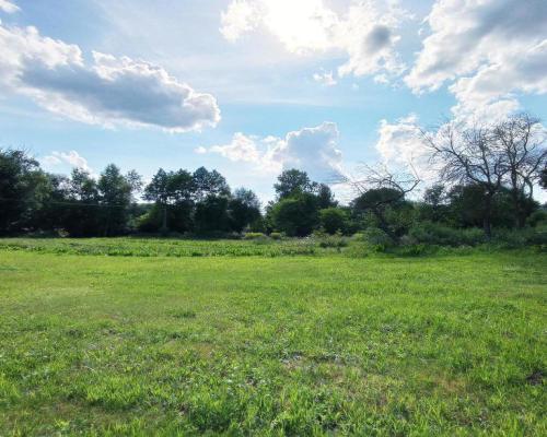 Dom na dużej działce graniczący z rz. Ciemięgą.