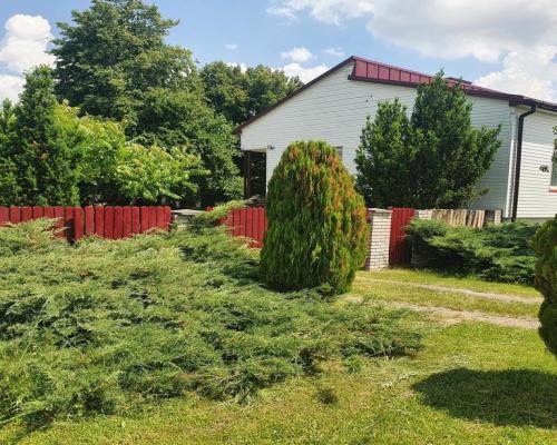 Piękne siedlisko położone w Kiełczewicach Górnych.