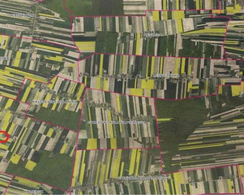 Piękne siedlisko położone w Kiełczewicach Górnych.