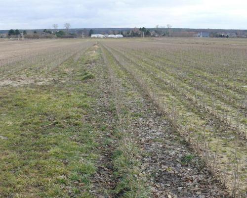 Działka w doskonałej lokalizacji-5 min. od Zalewu