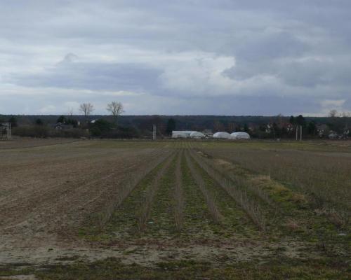 Działka w doskonałej lokalizacji-5 min. od Zalewu