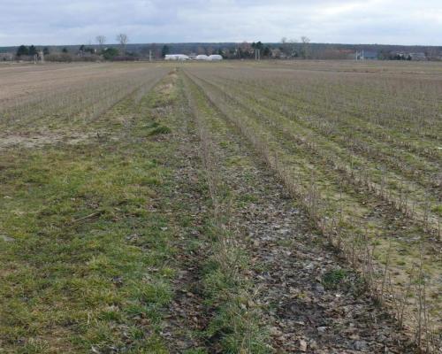 Działka w doskonałej lokalizacji-5 min. od Zalewu